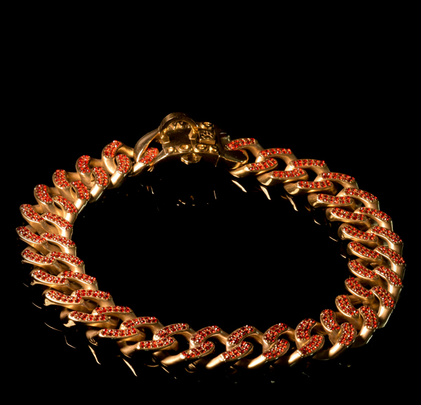 Gold collar with diamonds for dogs